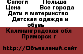 Сапоги Demar Польша  › Цена ­ 550 - Все города Дети и материнство » Детская одежда и обувь   . Калининградская обл.,Приморск г.